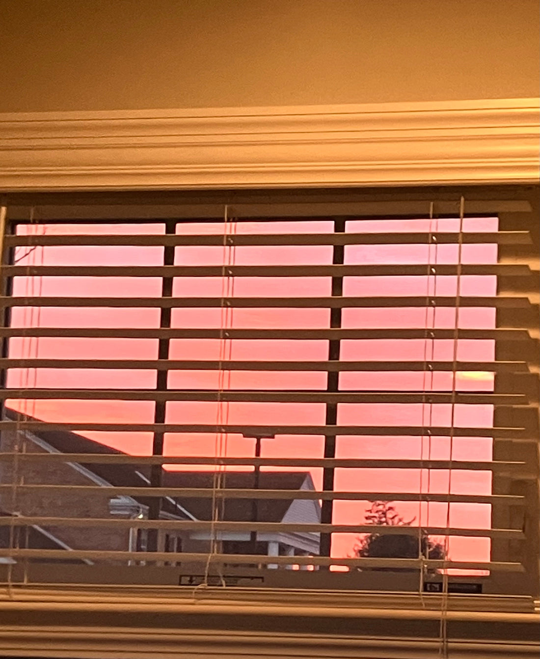 Beautiful Butterfly,