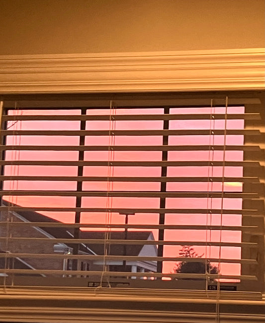 Beautiful Butterfly,