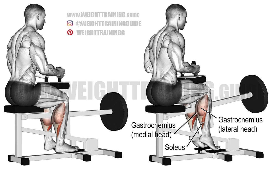 The Power of Stability: How Planting Your Feet During Plate Raises Enhances Your Workout