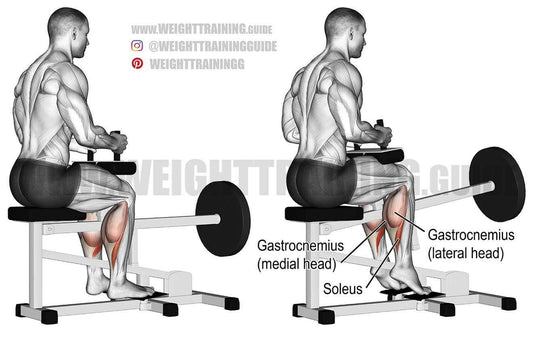 The Power of Stability: How Planting Your Feet During Plate Raises Enhances Your Workout