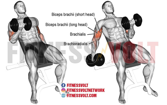 The Benefits of Incline Bench Bicep Curls: Isolating Your Biceps for Maximum Gains